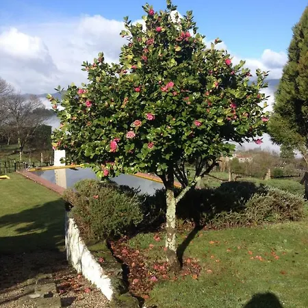 Quinta Da Calcada Farmház *