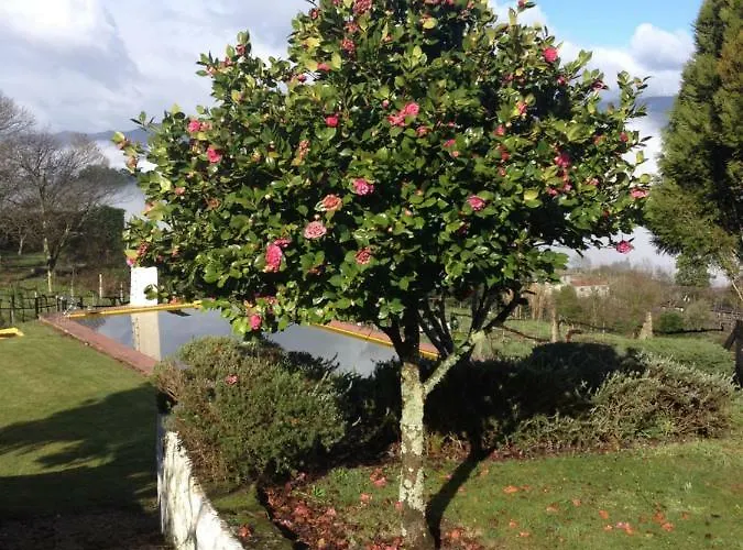 Quinta Da Calcada Farmház *